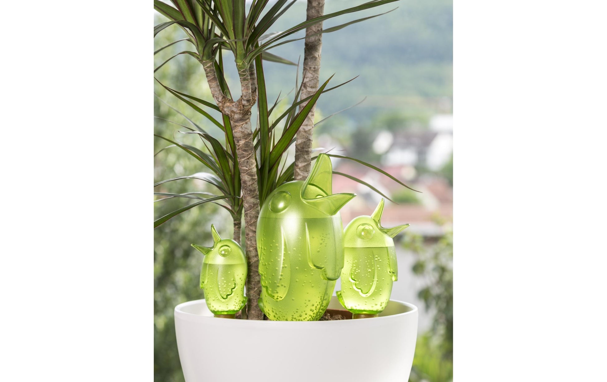 Scheurich Endtropfer Bördy M – 220 ml, grün, Polymer, 20 cm × 6,5 cm, für Urlaubsbewässerung