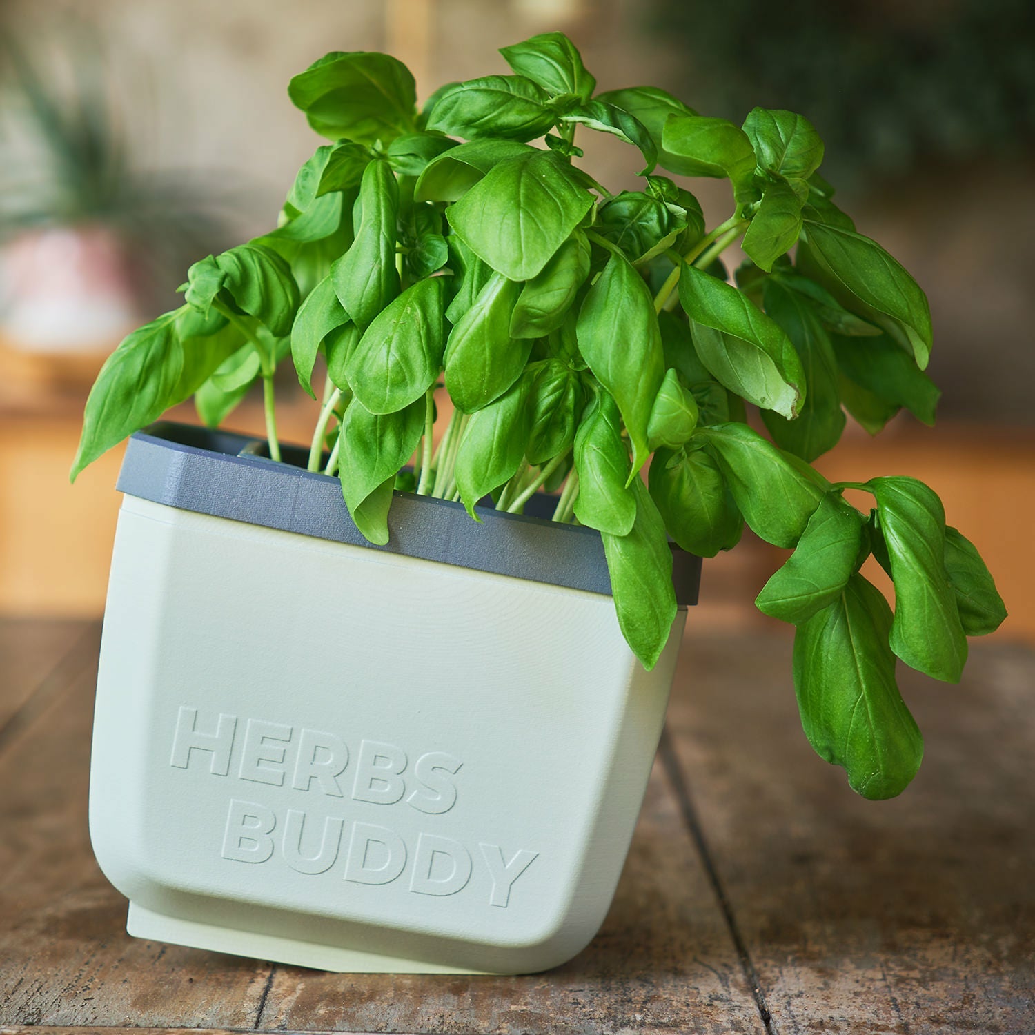 Gusta Garden HERBS BUDDY Kräutertopf – 3-teilig – Polypropylen, grau