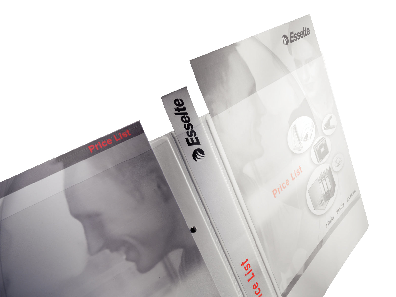 Leitz Zeigebuch – A4 – 4-Ring, Ø 20 mm, Rücken 38 mm – Weiss, Karton