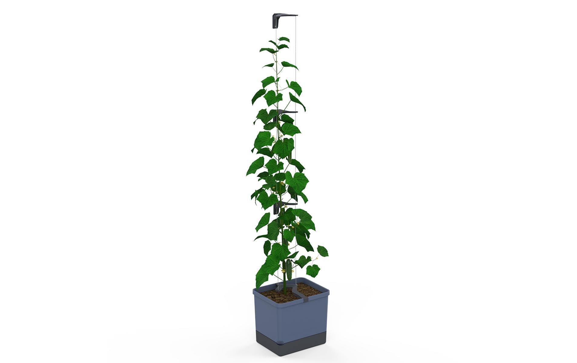 Gusta Garden Pflanzgefäss – 33,5 × 28,7 × 25,6 cm – Polypropylen, Blau