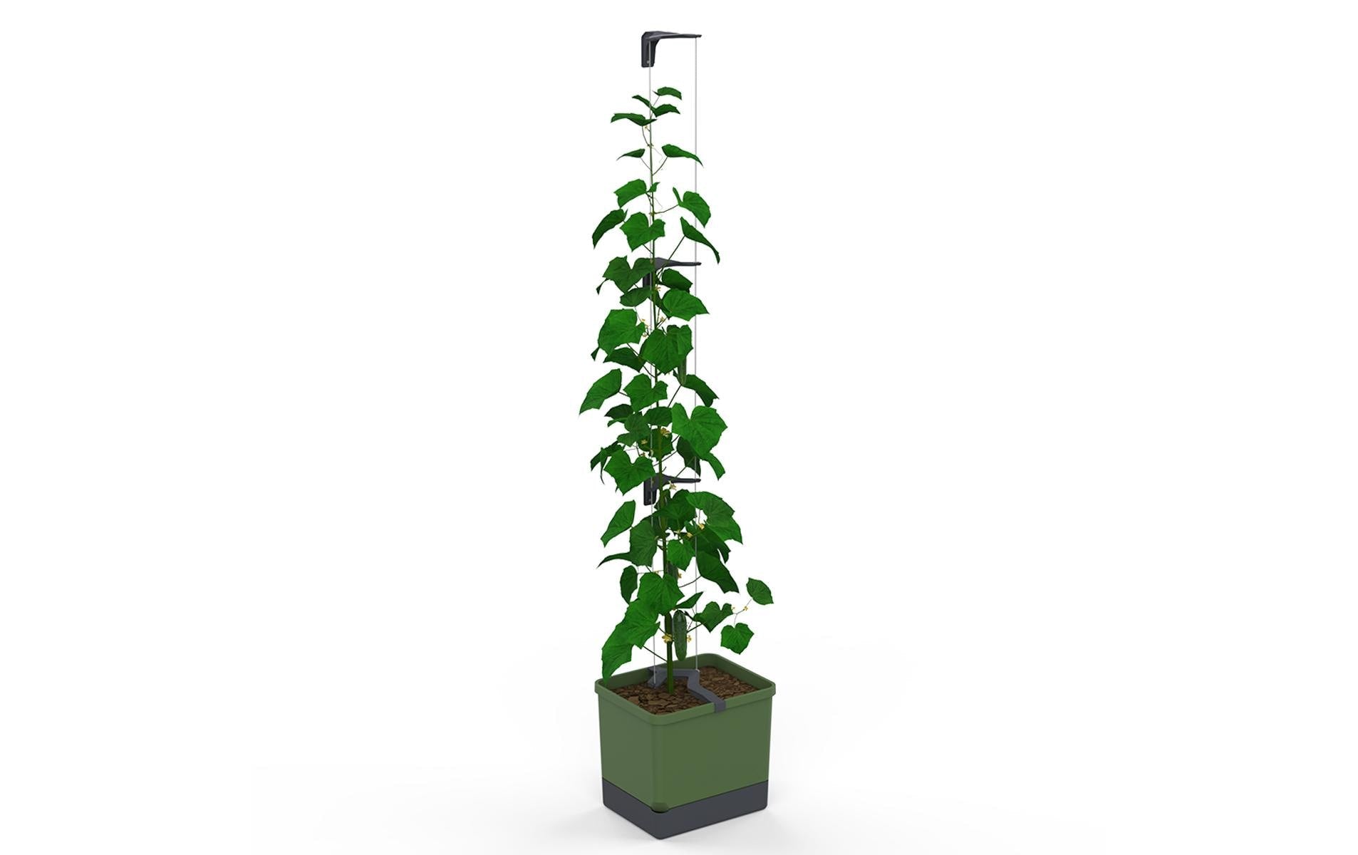 Gusta Garden Rechteckiges Pflanzgefäss 33,5×28,7×25,6 cm, grün, Polypropylen, wetterfest, für innen und aussen