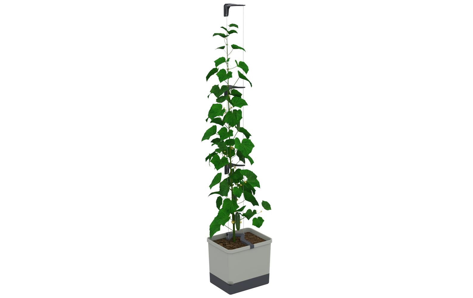 Gusta Garden Pflanzgefäss – 33,5 × 28,7 × 25,6 cm – Polypropylen, Grau