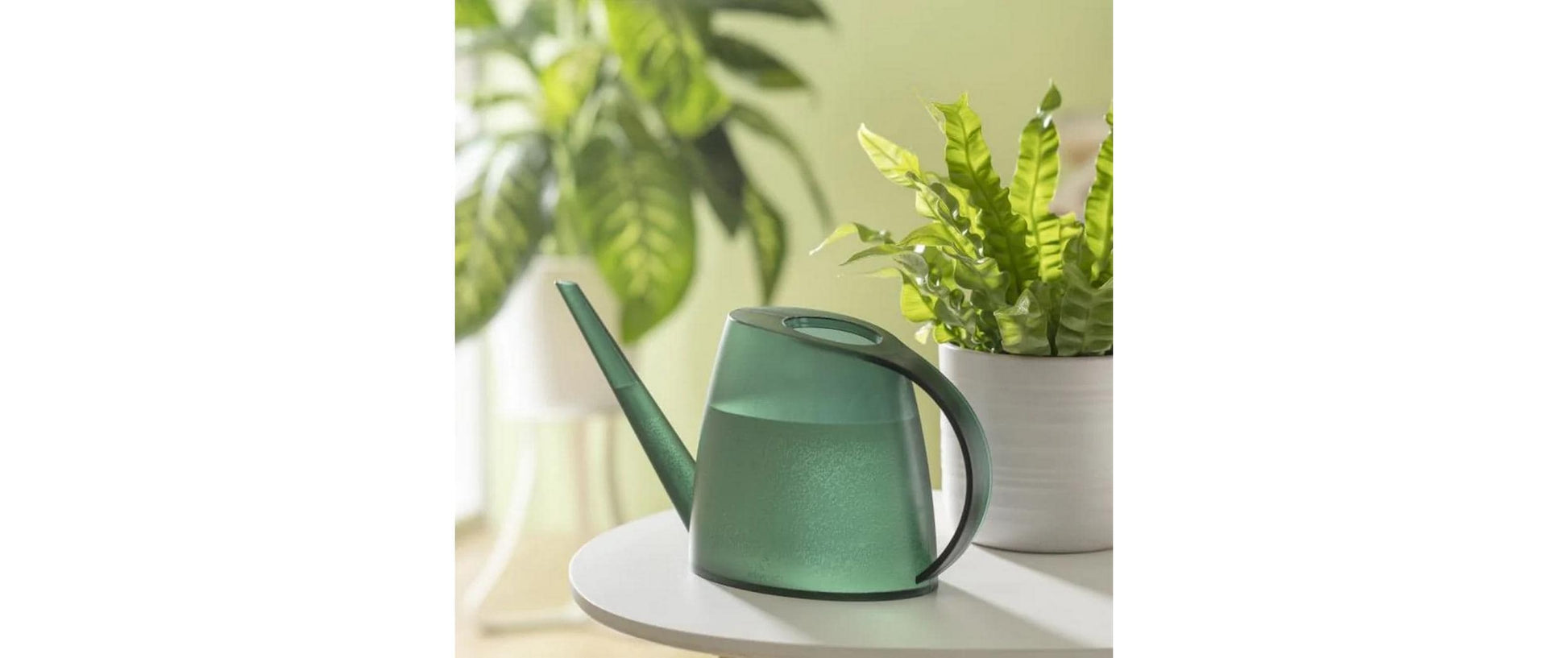 Scheurich Giesskanne – 1,5 l, 31 × 7,7 × 16,4 cm – Kunststoff, Dunkelgrün