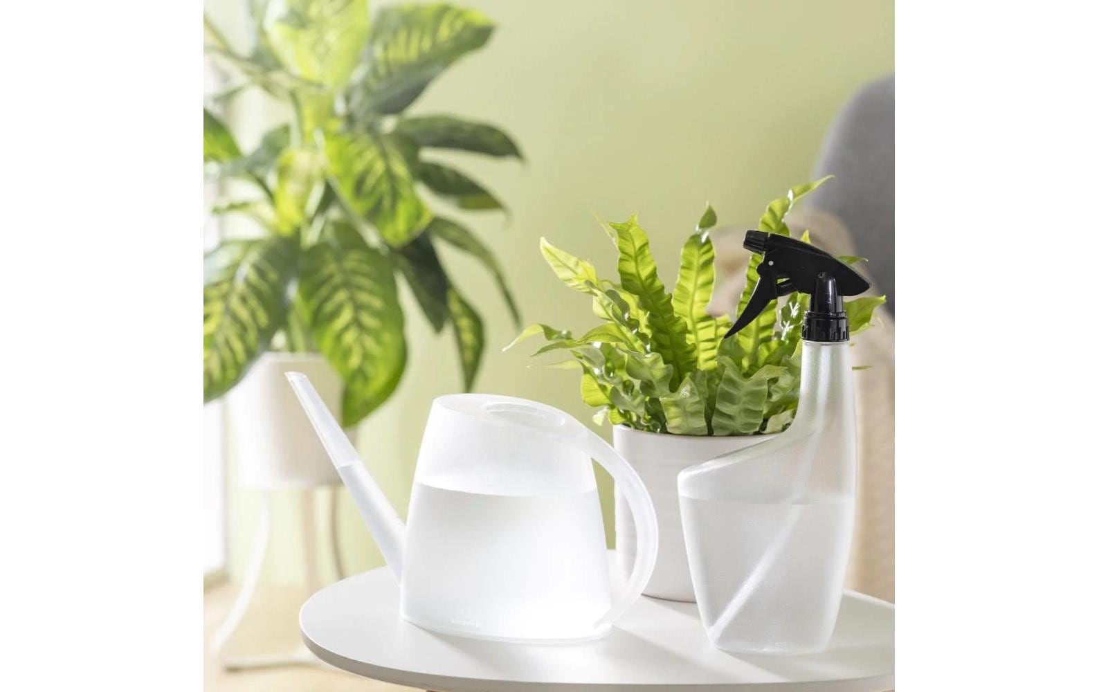 Scheurich Giesskanne Lilly – 31 × 7,7 × 16,4 cm, Kunststoff, transparent, 1,5 l