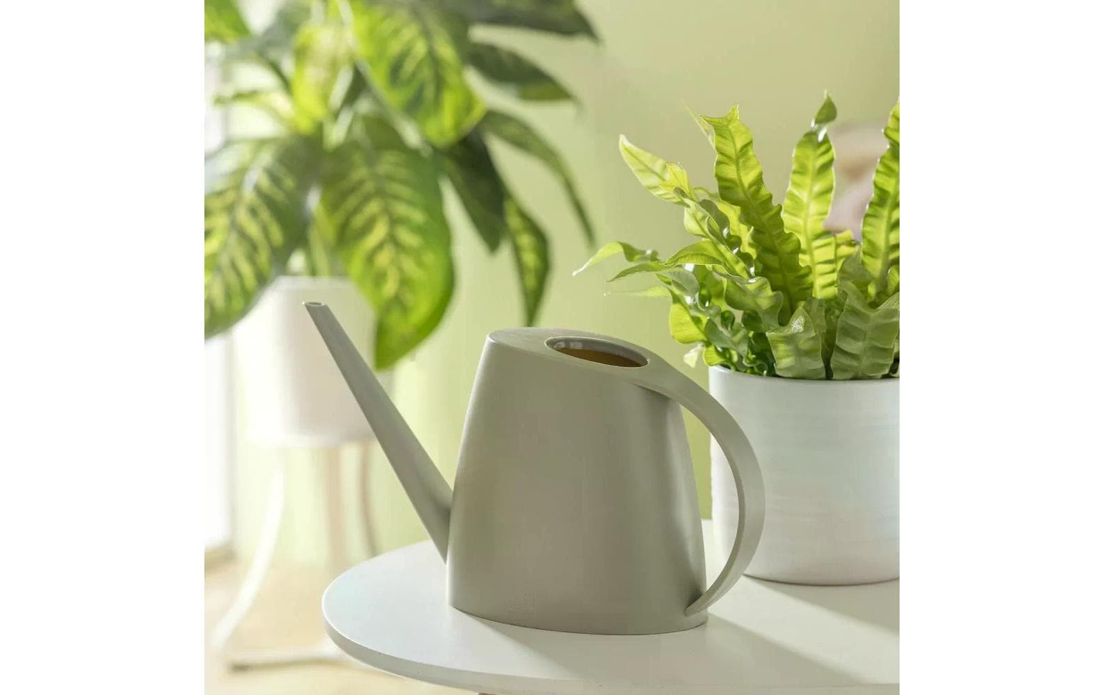 Scheurich Giesskanne Lilly – 1,5 l – Kunststoff – Taupe – 31,0 × 7,7 × 16,4 cm