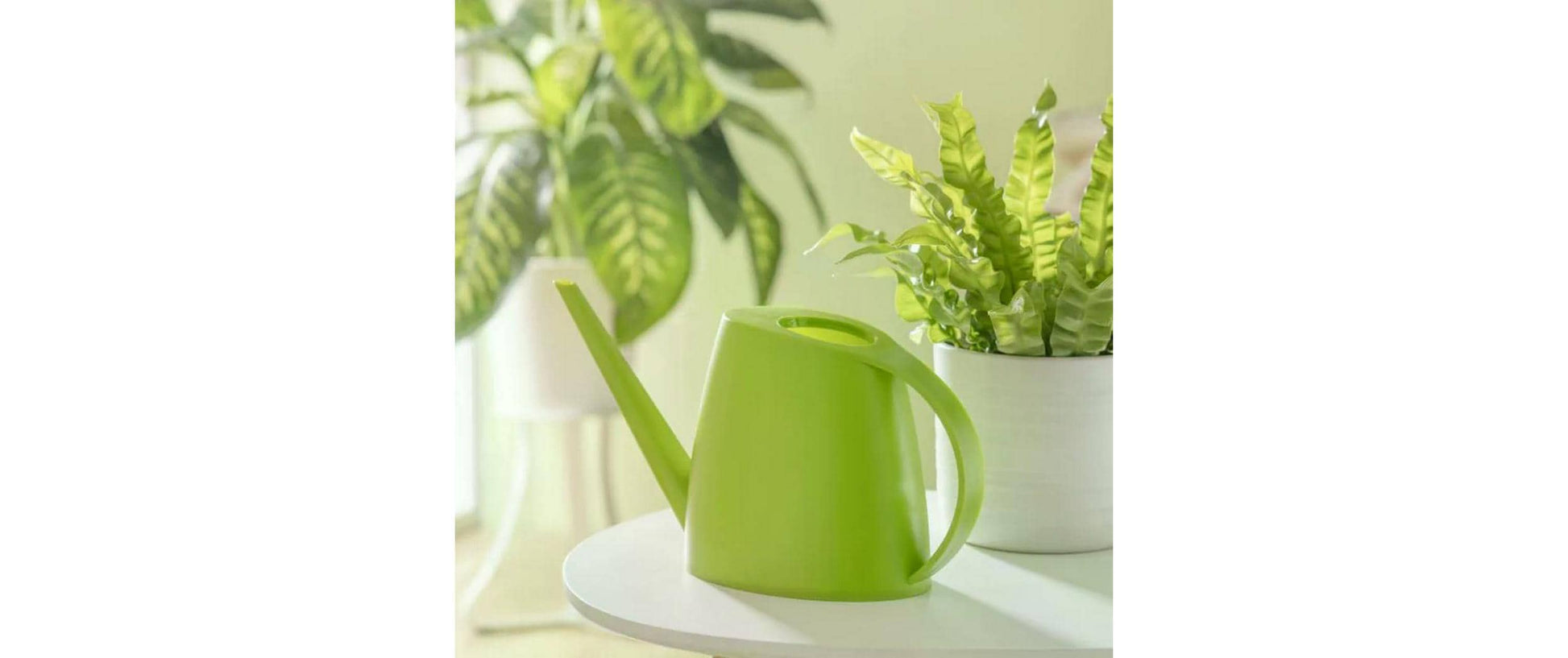 Scheurich Giesskanne Lilly – 31 × 7,7 × 16,4 cm, 1,5 l, Kunststoff, Grün matt