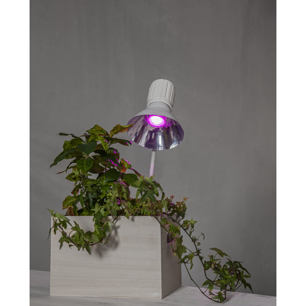 Star Trading Leuchtmittel G9 Kapsel – 138 lm, 1,5 W, Warmweiss 2700 K – IP20 – 2 Stk. – 357-38
