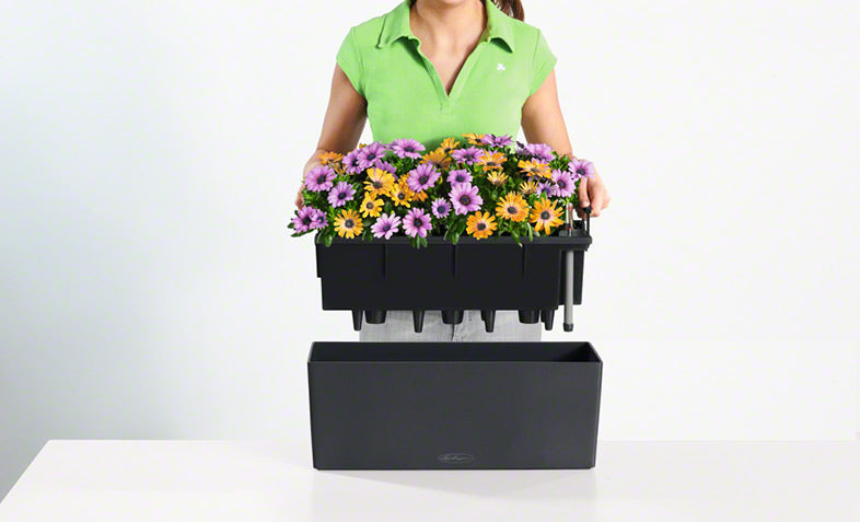 LECHUZA Topfpflanzer – 50 × 19 × 19 cm, 8 l – Kunststoff, braun