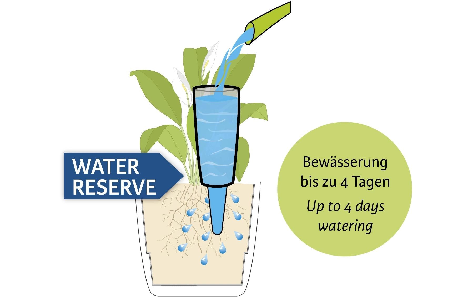 Scheurich Copa M Wasserspender – Ø 6,5 × 18 cm – Kunststoff, Grün