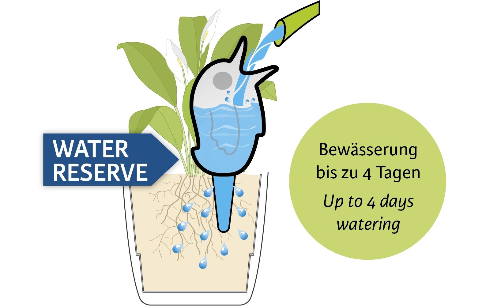 Scheurich Bördy M Wasserspender – 20 × 6,5 × 6,5 cm – Kunststoff, Blau