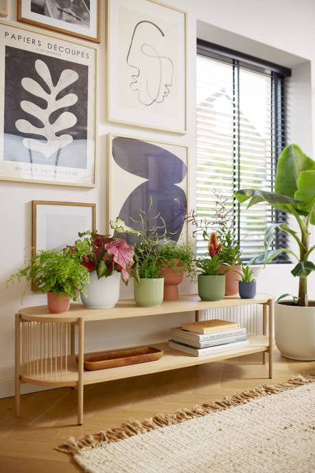 elho Vibes Fold Blumentopf – Ø 35 × 32 cm – Kunststoff, Anthrazit
