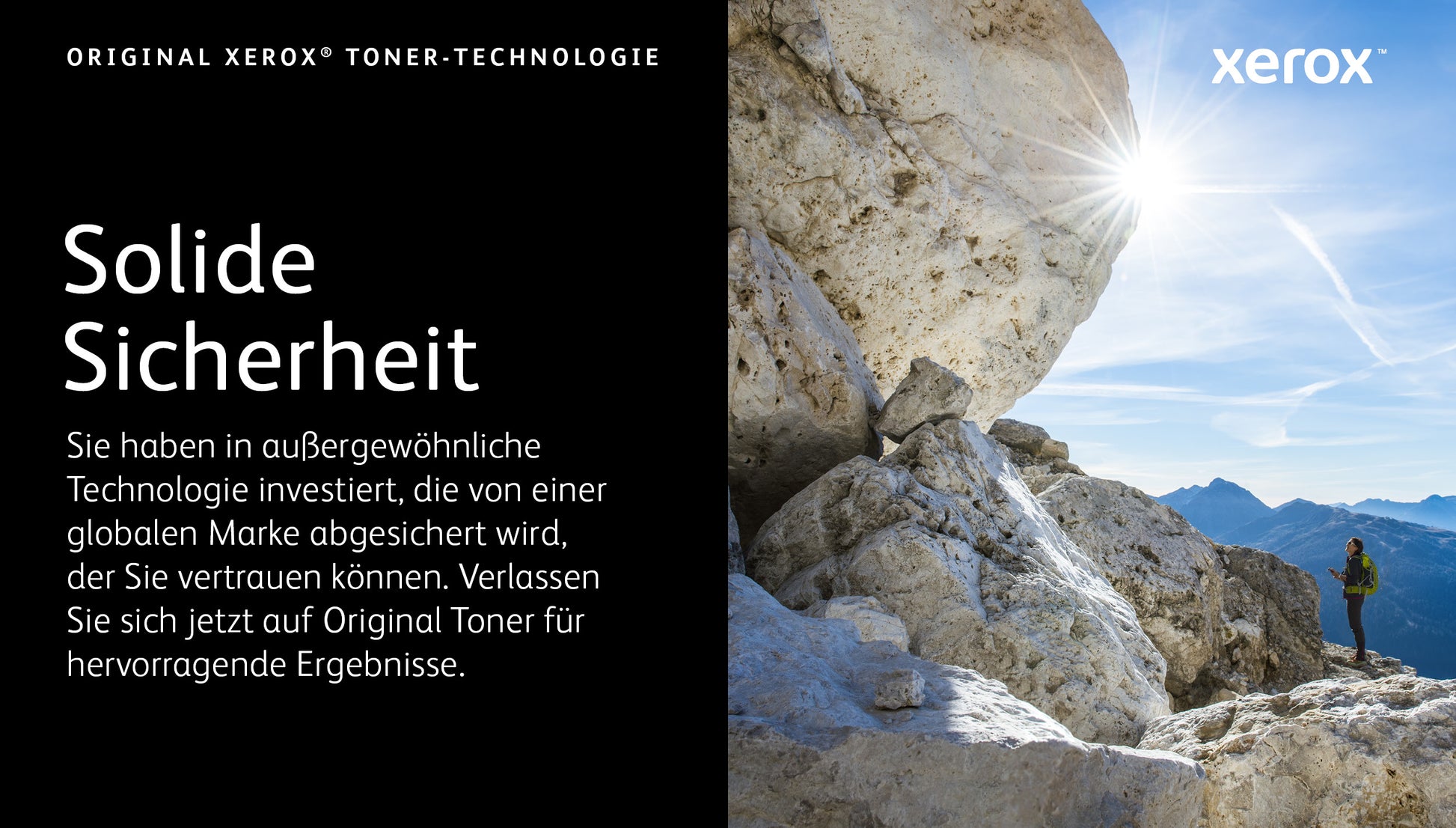 Xerox Toner 006R04364 – schwarz, 8000 Seiten – für Xerox C310/C315