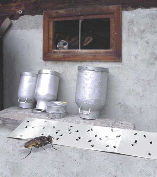 Windhager Insektenfalle – 10 × 32 cm – weiss – Papier – für Fluginsekten – 5 Stk.