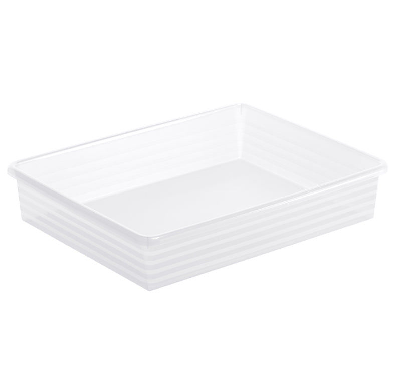 Rotho Formatkörbchen Linus – Kunststoff, transparent, 34,5 × 6 × 27 cm