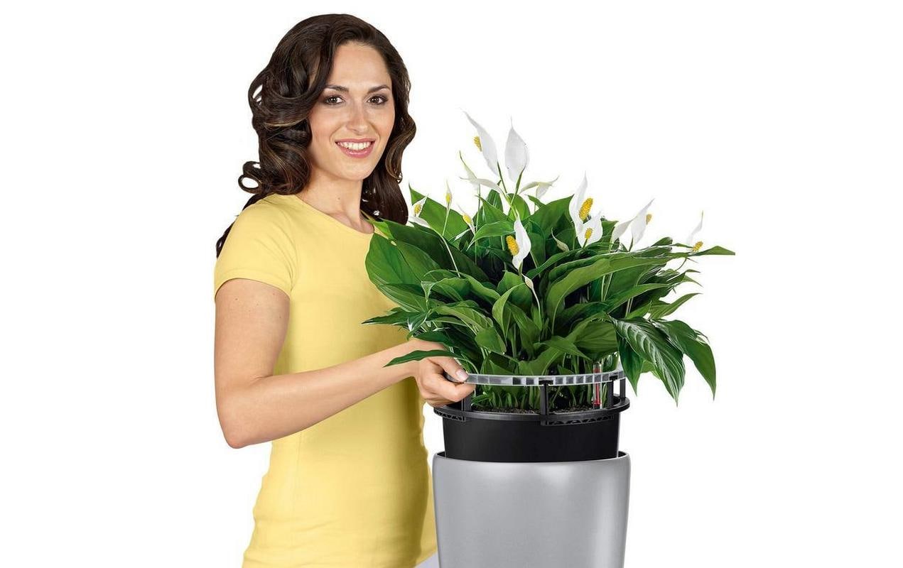 LECHUZA RONDO Premium 40 Dosen-Pflanzer – Ø 40 × 75 cm – Kunststoff, weiss matt