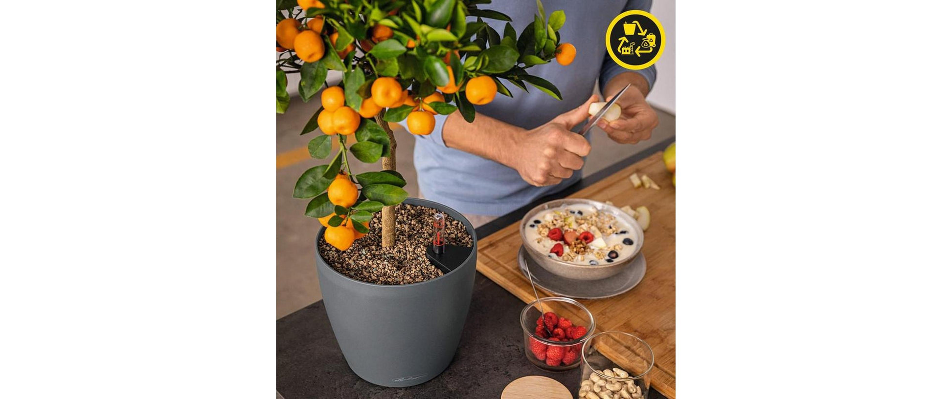 LECHUZA CLASSICO Color Eco Pflanzer – Ø 19 × 17 cm – Kunststoff, hellgrau