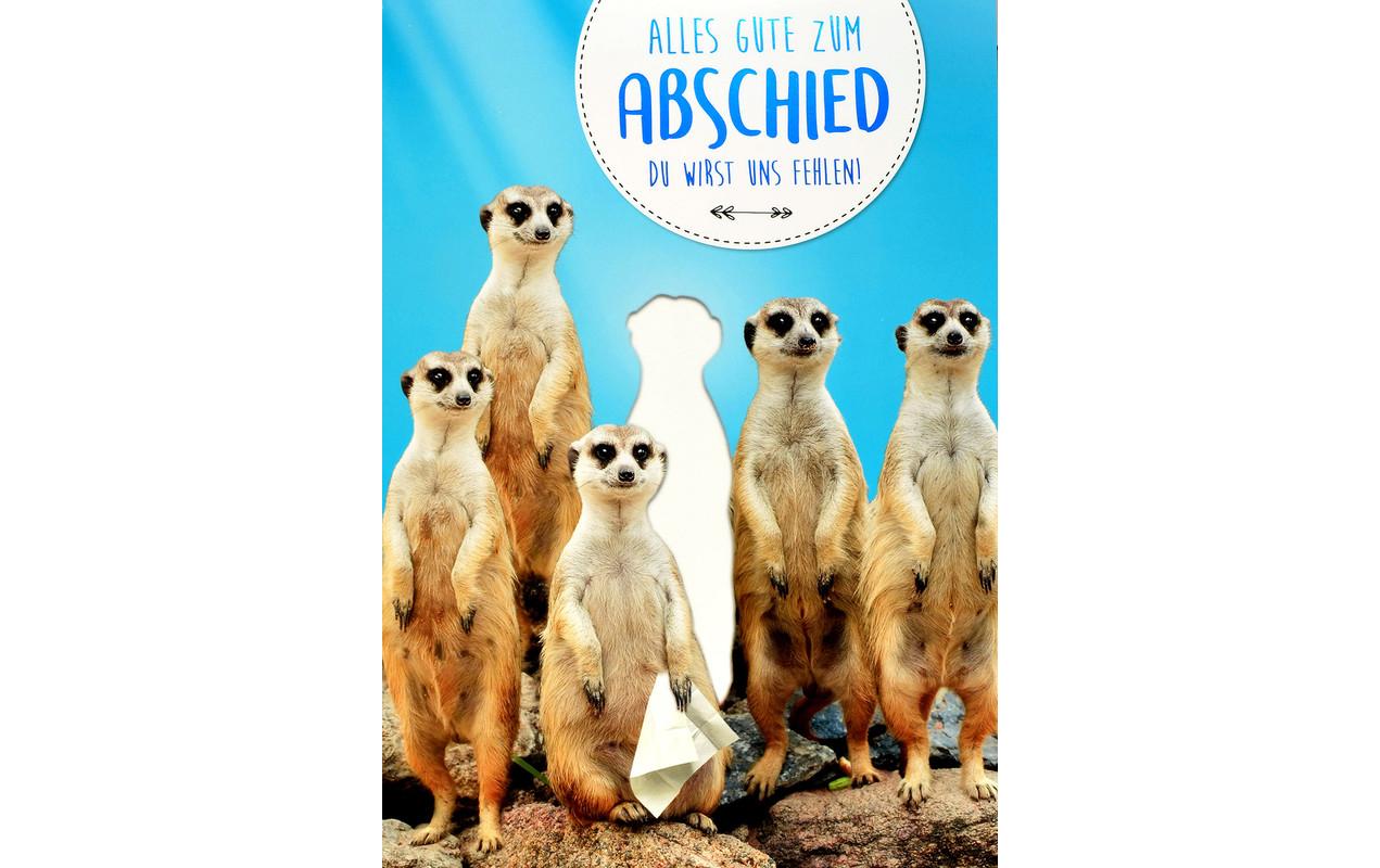 ABC Abschiedskarte – A4, mit Couvert, Erdmännchen, mehrfarbig – 1 Stk