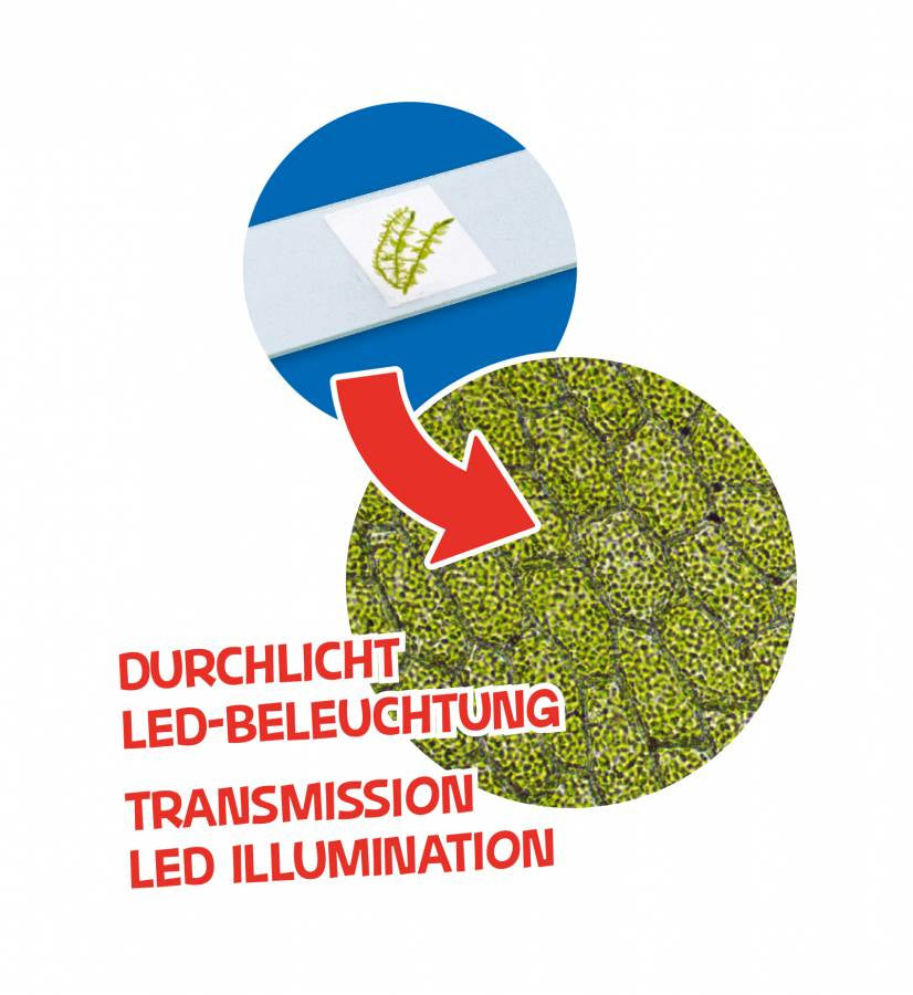 Bresser Optics Bresser Junior – Mikroskop-Bausatz, 40–640×, LED-Beleuchtung, ab 6 Jahren