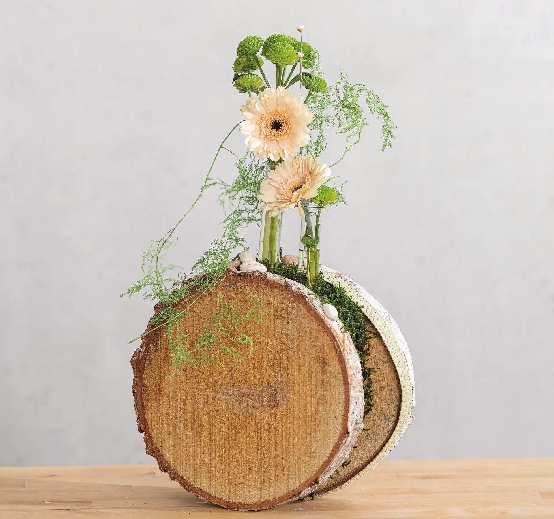 Opiflor Holzrohling, Birke, Natur, Ø 30 cm × 3,5 cm, 1 Stk., rund