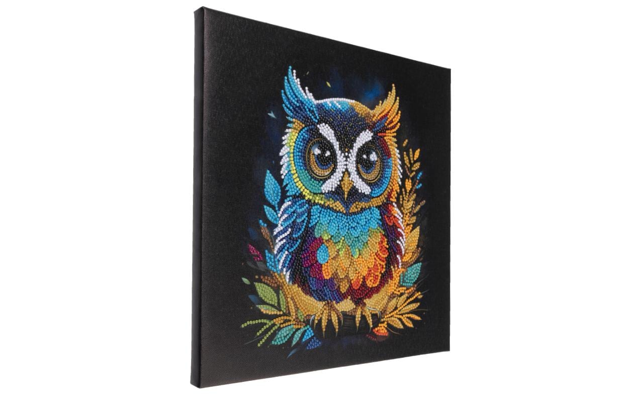 CRAFT Buddy Diamond-Painting-Set Eule – 30 × 30 cm – ab 8 Jahren