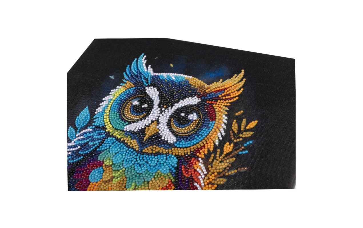 CRAFT Buddy Diamond-Painting-Set Eule – 30 × 30 cm – ab 8 Jahren
