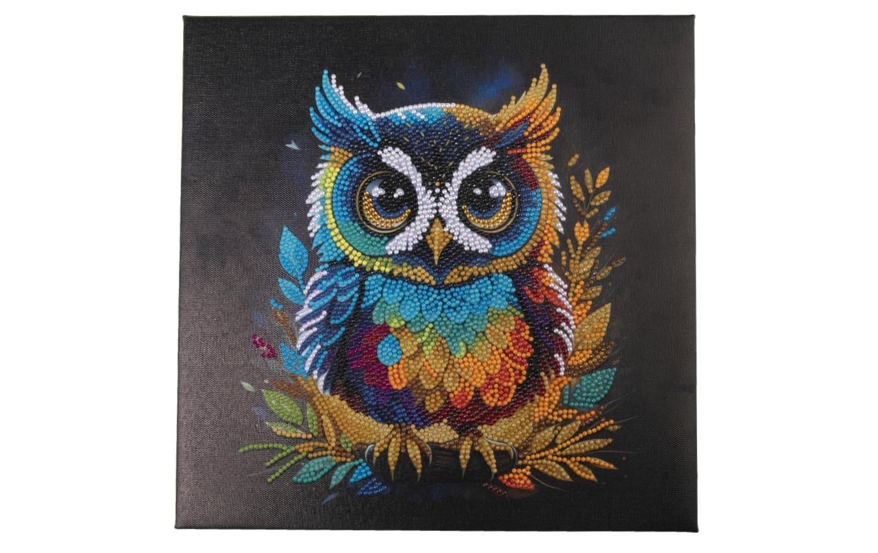 CRAFT Buddy Diamond-Painting-Set Eule – 30 × 30 cm – ab 8 Jahren