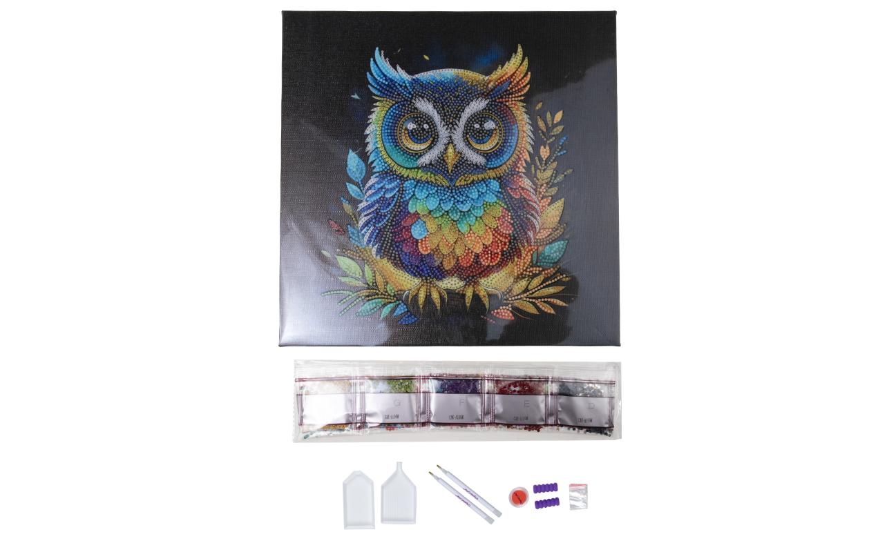 CRAFT Buddy Diamond-Painting-Set Eule – 30 × 30 cm – ab 8 Jahren