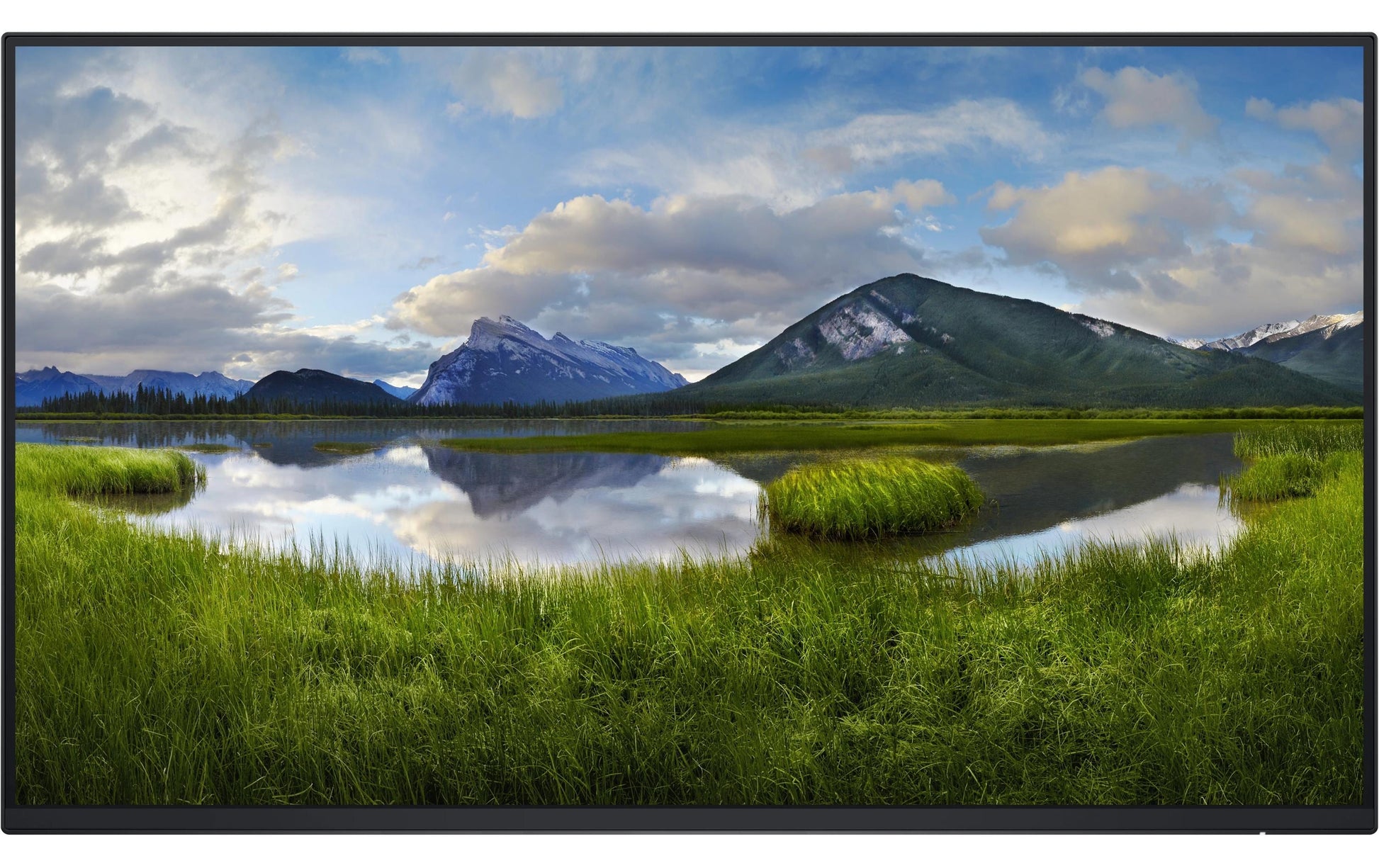 Dell P2425H – Monitor, 24", 1920 × 1080 (Full HD), LCD, Schwarz