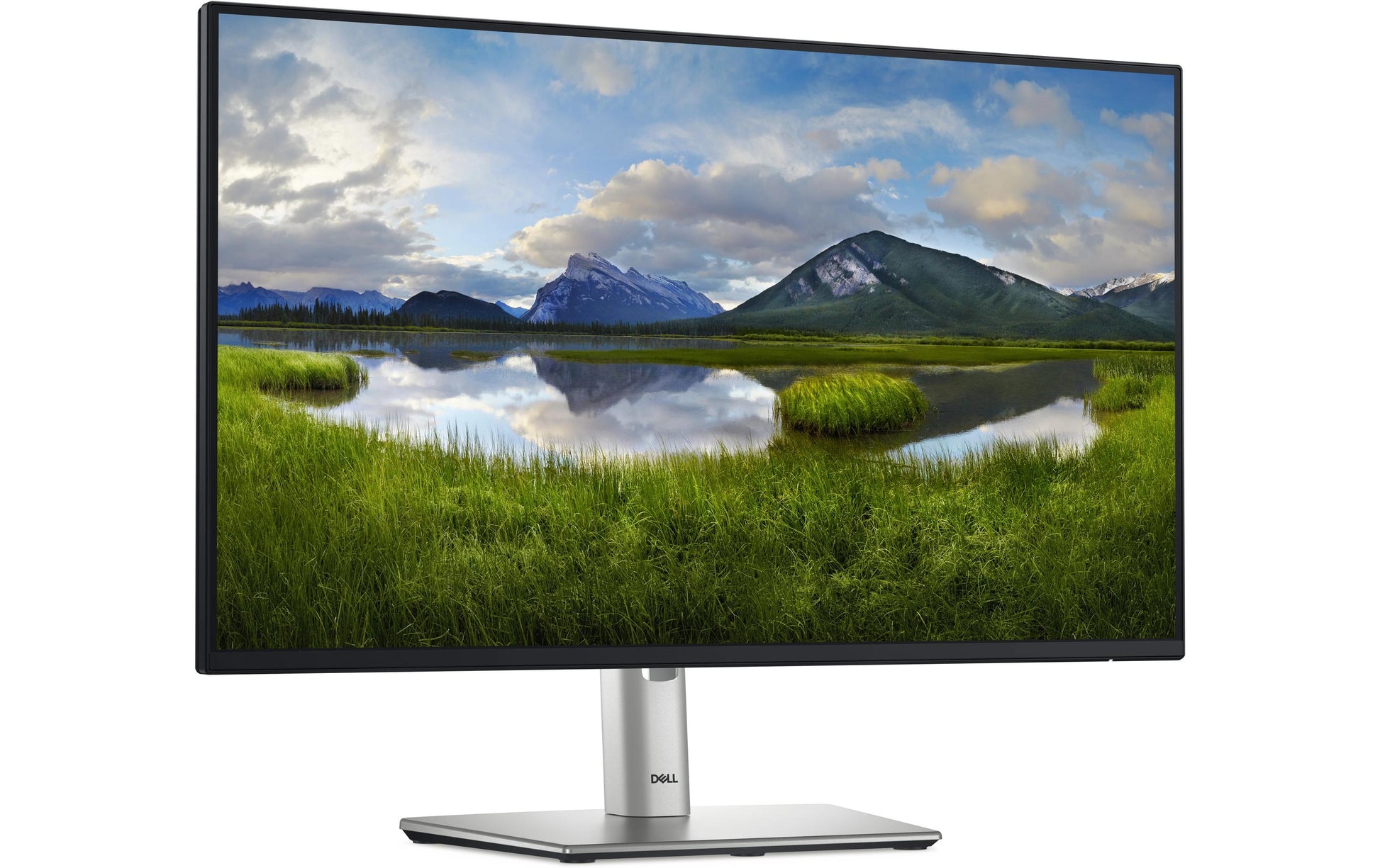 DELL Monitor, 24", 1920 × 1080 (Full HD), IPS