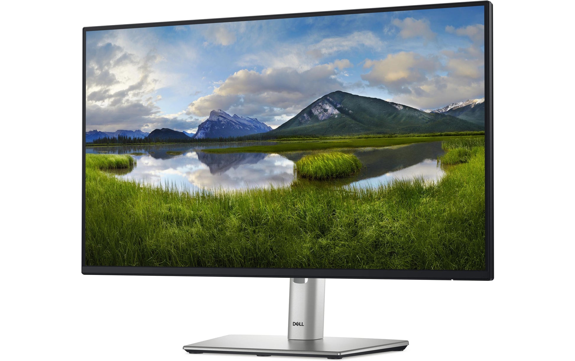 DELL Monitor, 24", 1920 × 1080 (Full HD), IPS