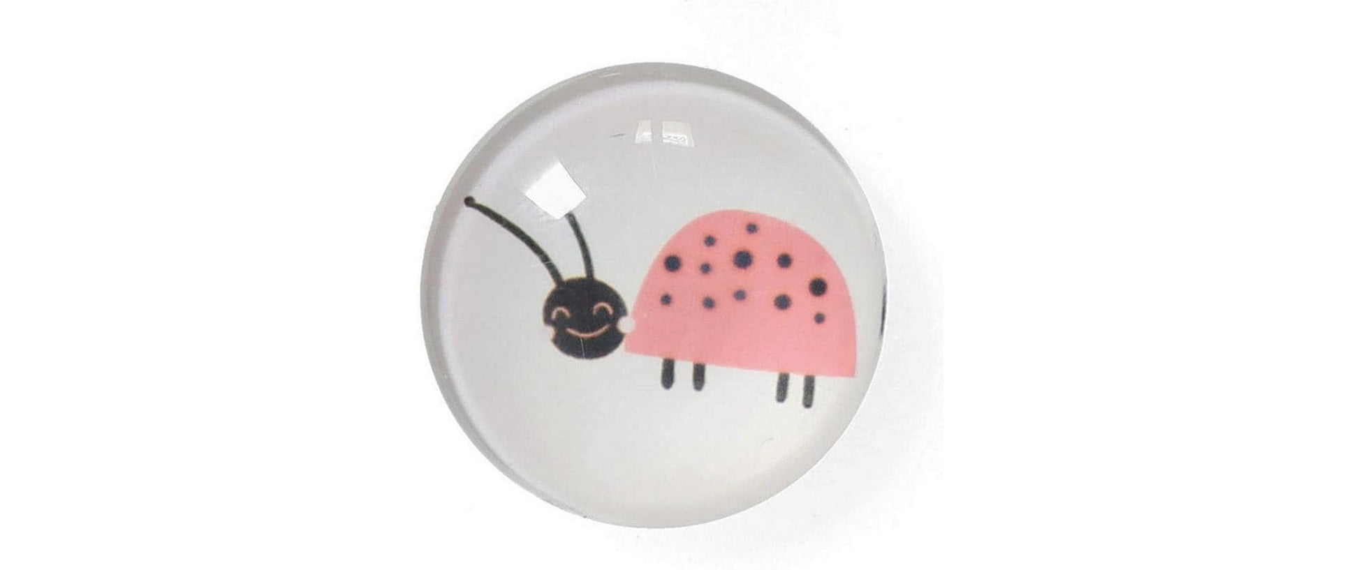 Zeller Present Magnet-Set Insekten – 4-teilig – Ø 2,5 × 0,8 cm – Magnet & Kunststoff, mehrfarbig