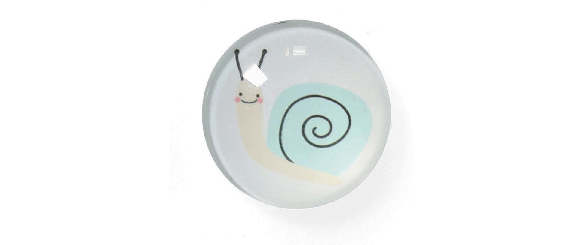 Zeller Present Magnet-Set Insekten – 4-teilig – Ø 2,5 × 0,8 cm – Magnet & Kunststoff, mehrfarbig