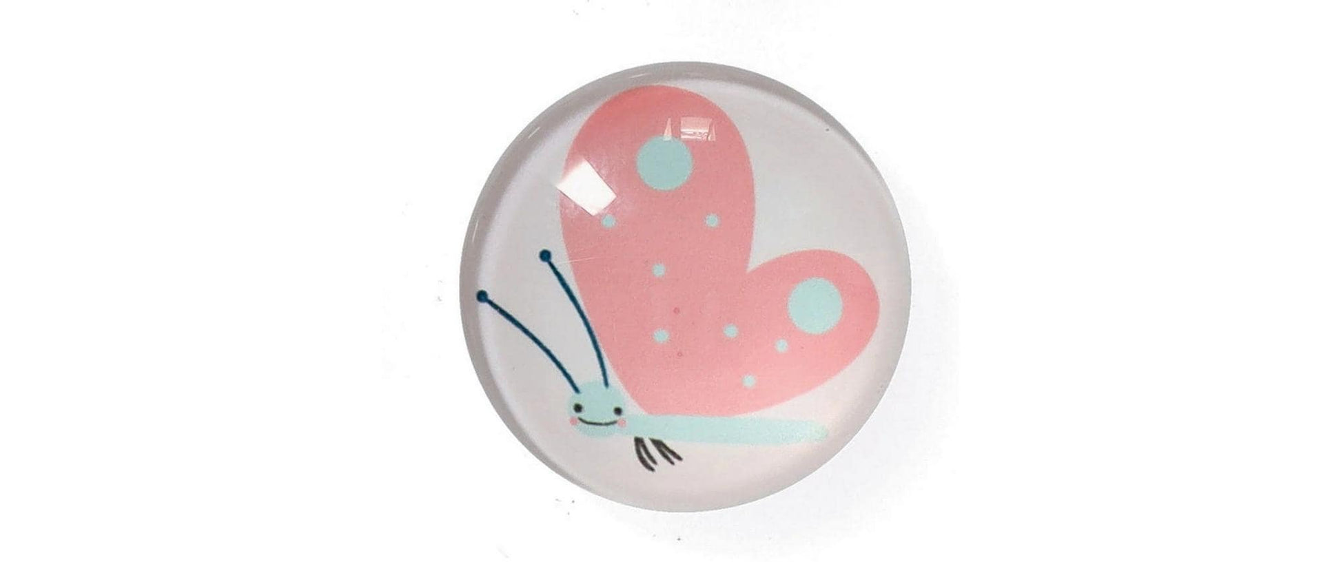 Zeller Present Magnet-Set Insekten – 4-teilig – Ø 2,5 × 0,8 cm – Magnet & Kunststoff, mehrfarbig