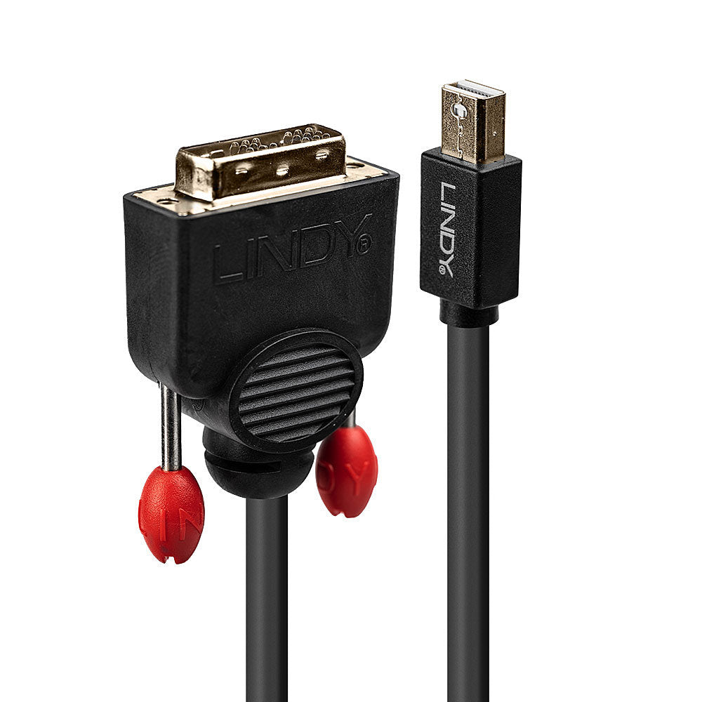 Lindy Mini DisplayPort (Stecker) auf DVI (Stecker) Adapter, DP 1.2, 3 m