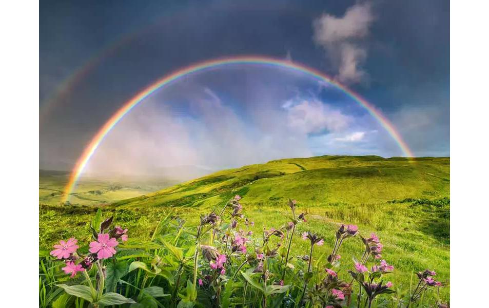 Ravensburger Puzzle Regenbogen – 1500 Teile – 80 × 60 cm – ab 14 Jahren – Karton – Mehrfarbig
