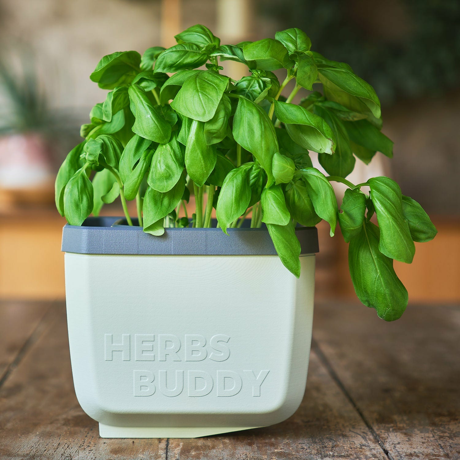 Gusta Garden HERBS BUDDY Kräutertopf – 3-teilig – Polypropylen, grau