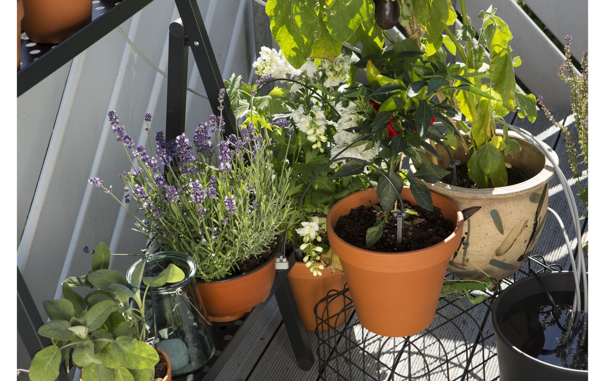 Gardena 1265 Urlaubsbewässerungs-Set – für Garten – max. Fördermenge 3,6 l/h