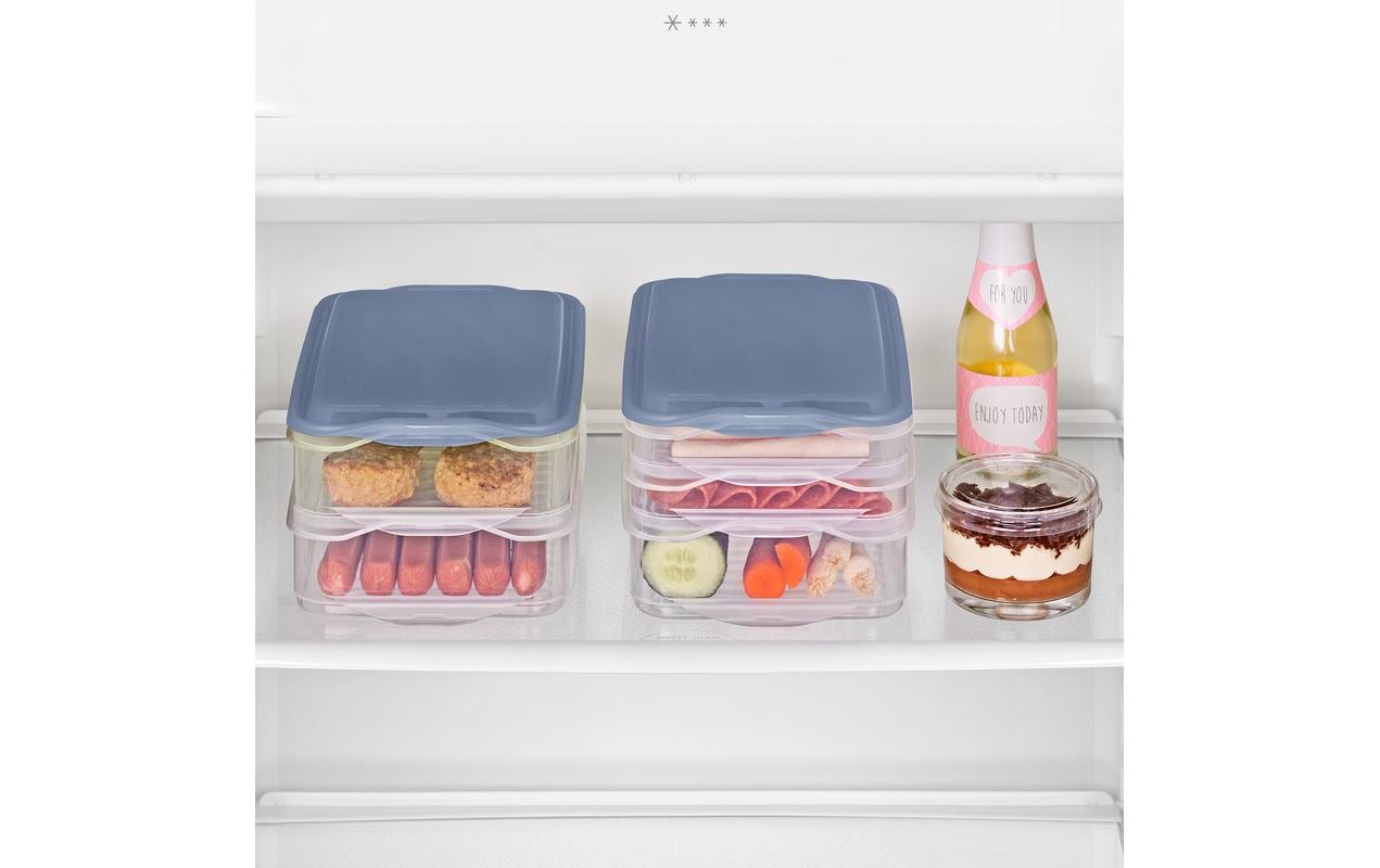 Rotho Foodcenter RONDO – Vorratsdose 2,7 l, 15,5 × 23,5 × 11 cm, Polypropylen (PP), Blau