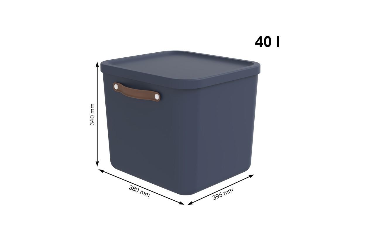 Rotho MALOJA Aufbewahrungsbox 40 l (mit Deckel) – Kunststoff – Blau – 380 × 340 × 395 mm