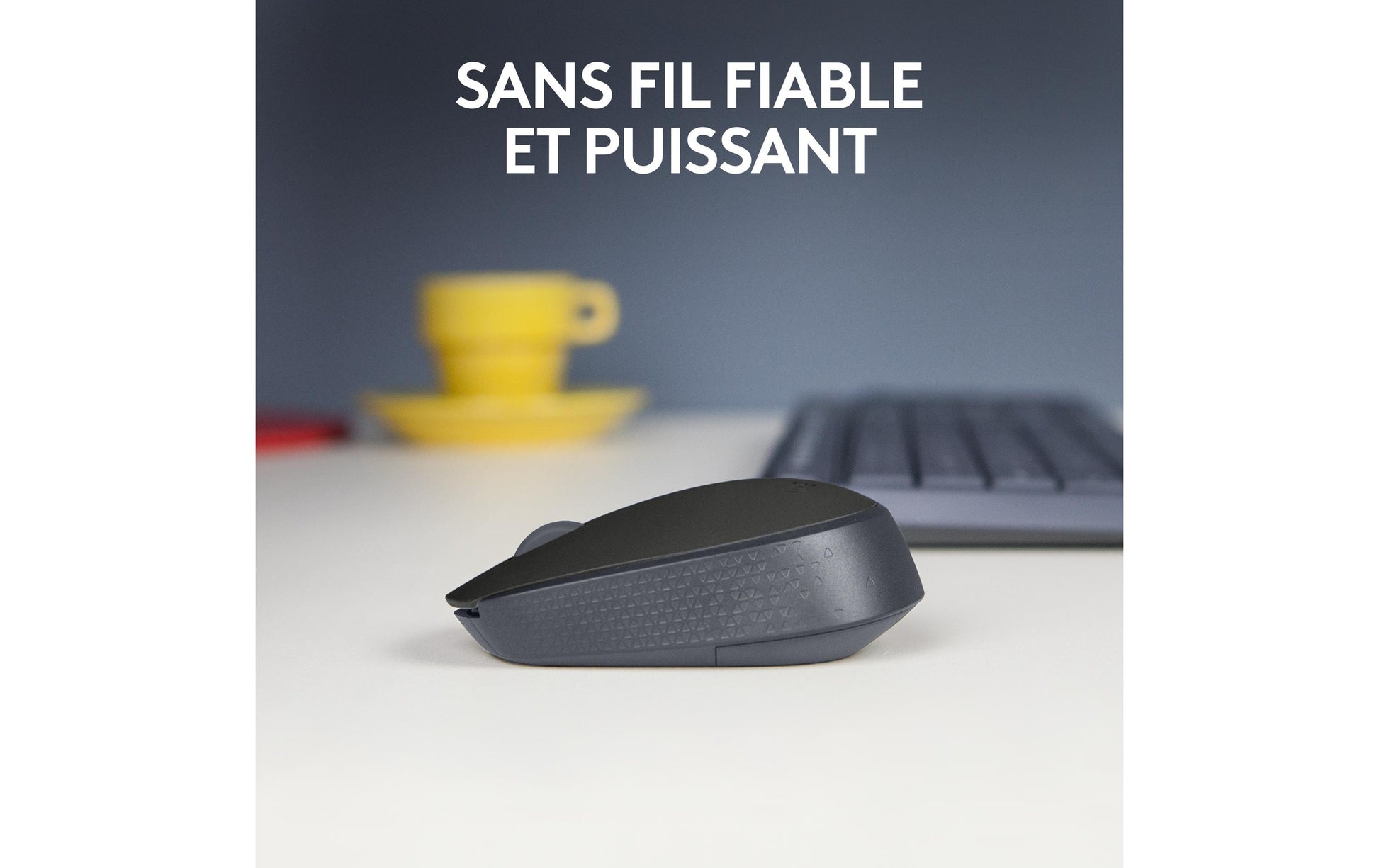 Logitech M171 – Maus – Kabellos (2,4 GHz), 1000 DPI, beidhändig, Schwarz