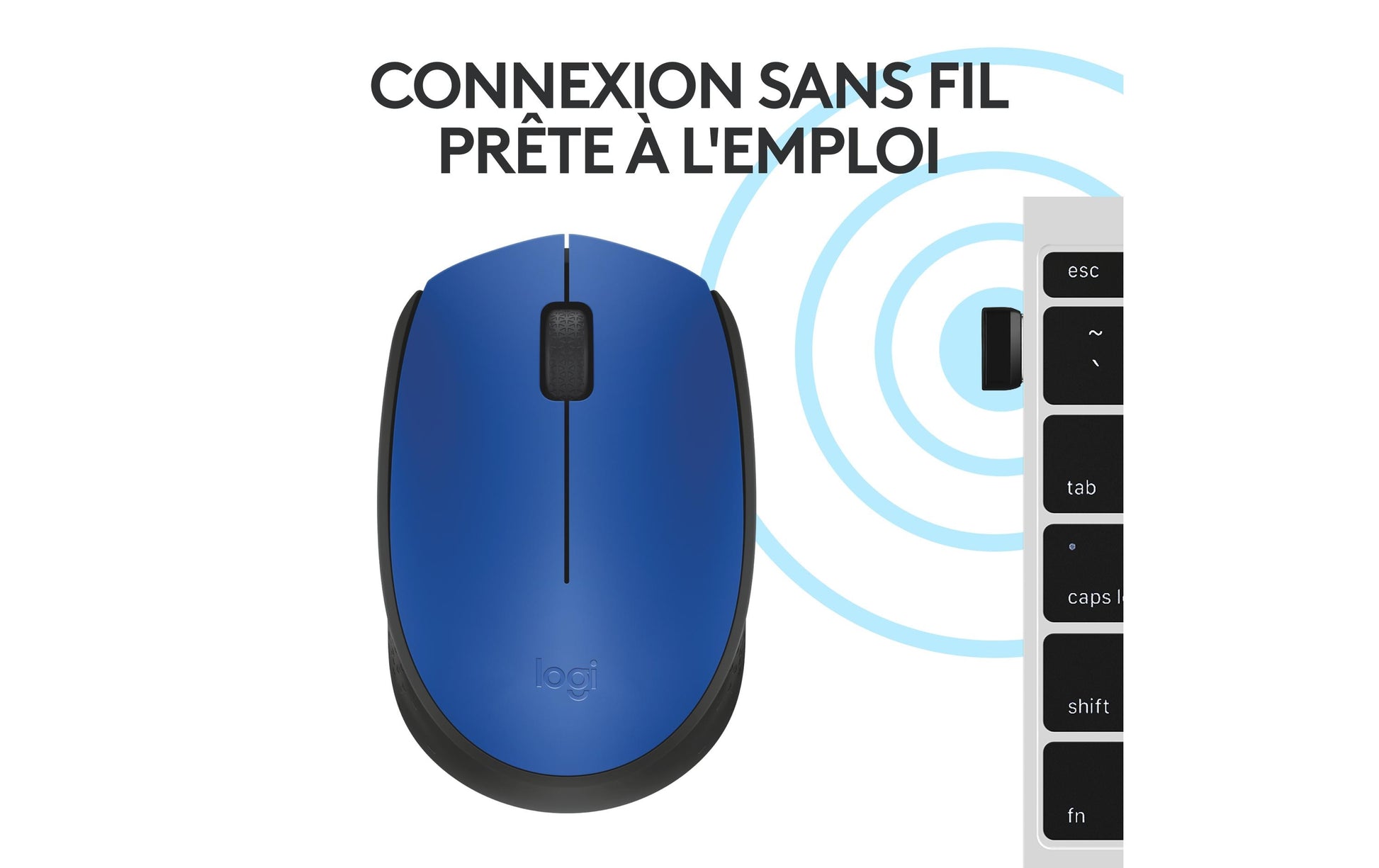 Logitech M171 – Maus – Kabellos (2,4 GHz), beidhändig, Blau