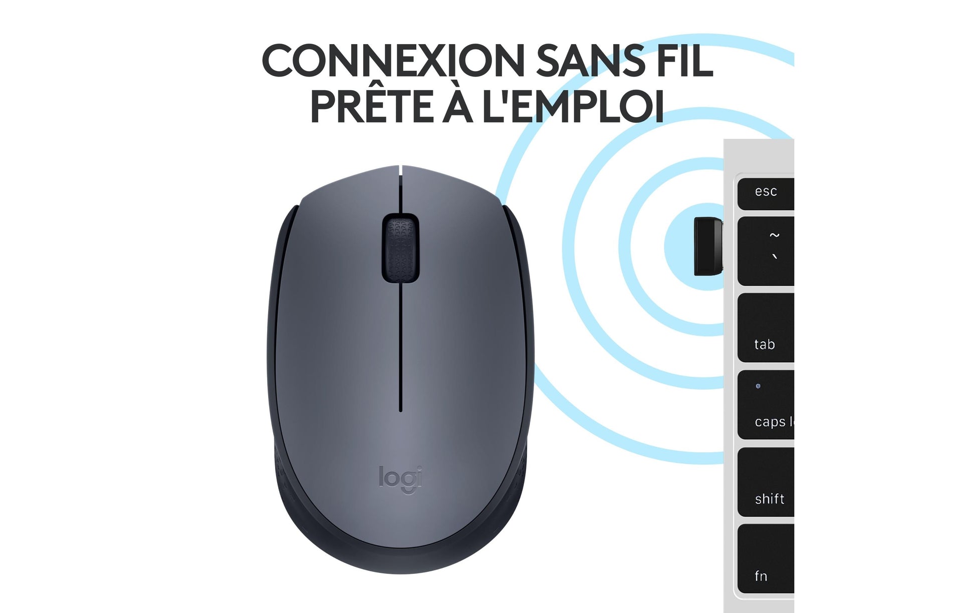 Logitech M170 – Maus – Kabellos (2,4 GHz), 1000 DPI, beidhändig, Grau