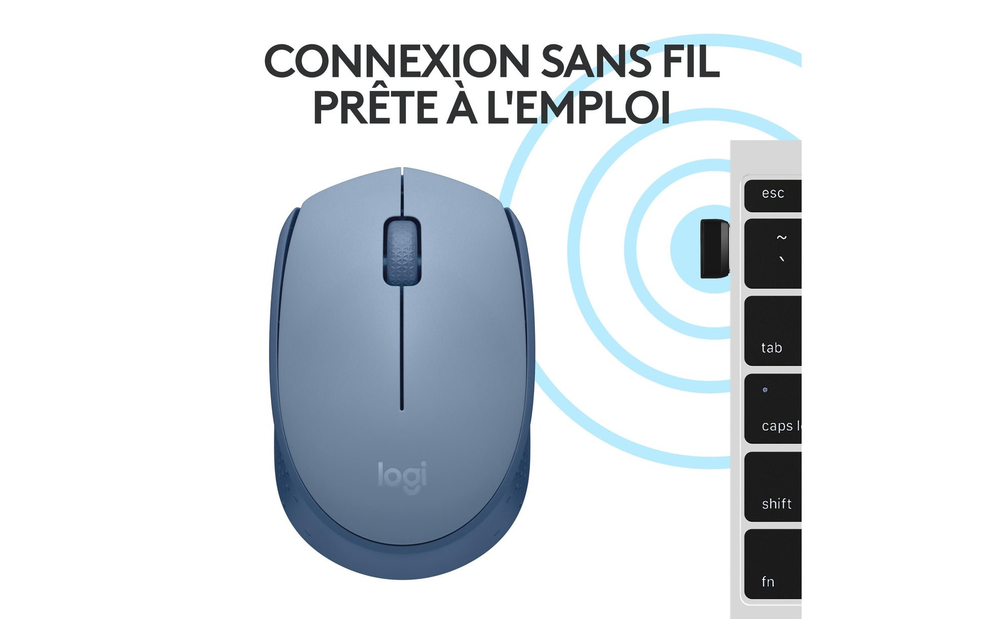 Logitech M171 – Maus – Kabellos (2,4 GHz), Beidhändig, Blau