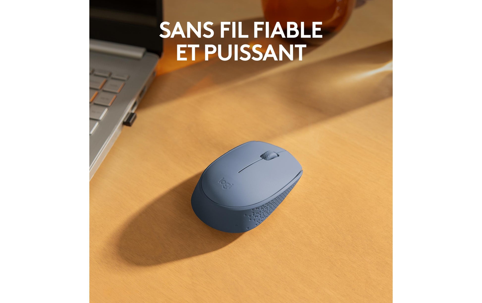 Logitech M171 – Maus – Kabellos (2,4 GHz), Beidhändig, Blau