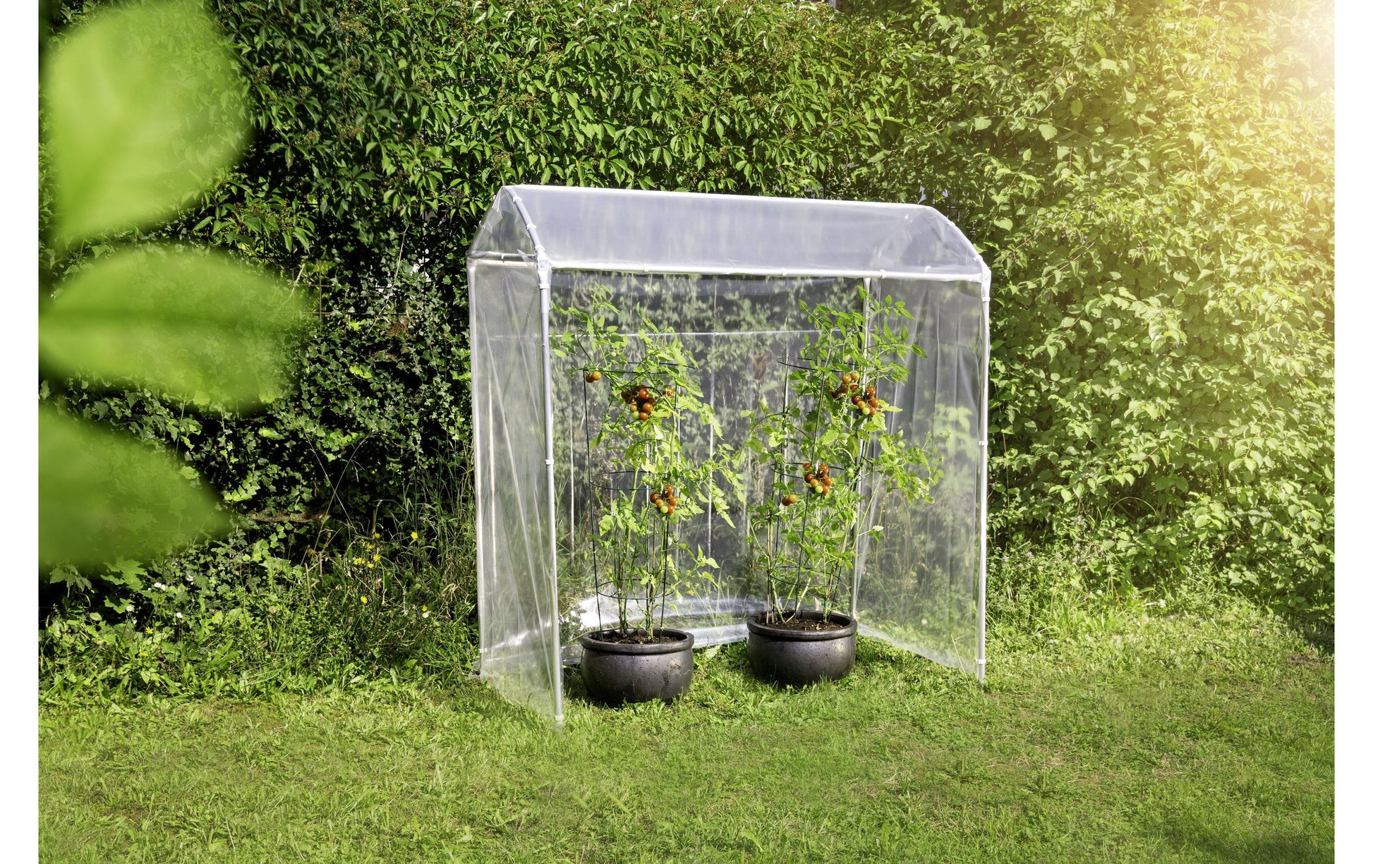 Windhager Alustar Gewächshaus – Aluminium – Transparent – 1500 × 1800 × 800 mm