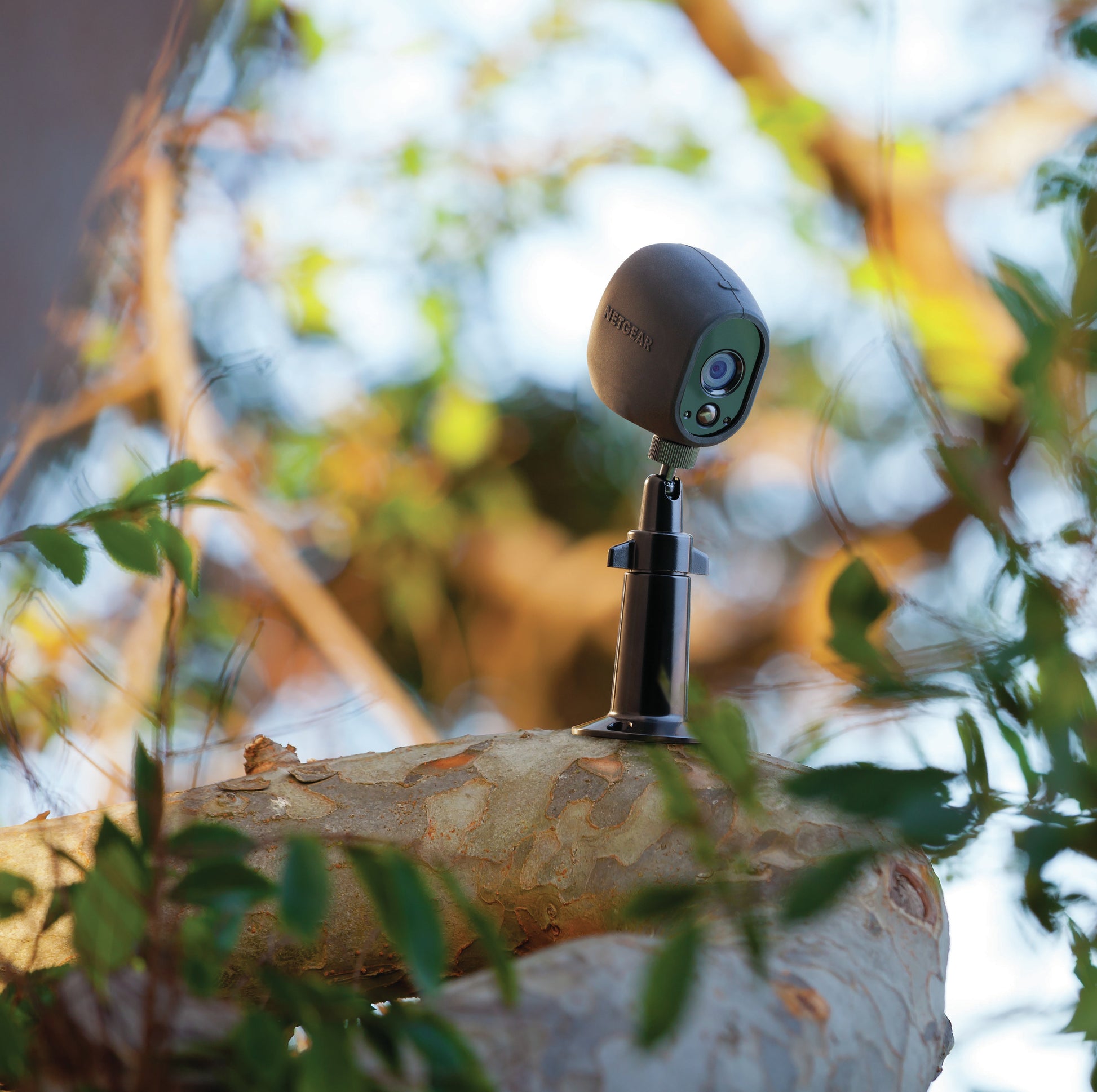 Arlo VMA1000B-10000S Halterung – Tisch-, Wand- und Deckenmontage, verstellbar, schwarz