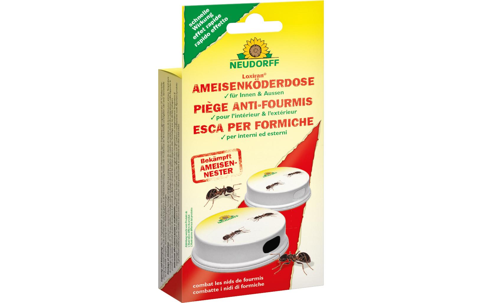 Neudorff Loxiran Insektenfalle – 11,5 × 24 cm – transparent – für Insekten – 2 Stk.