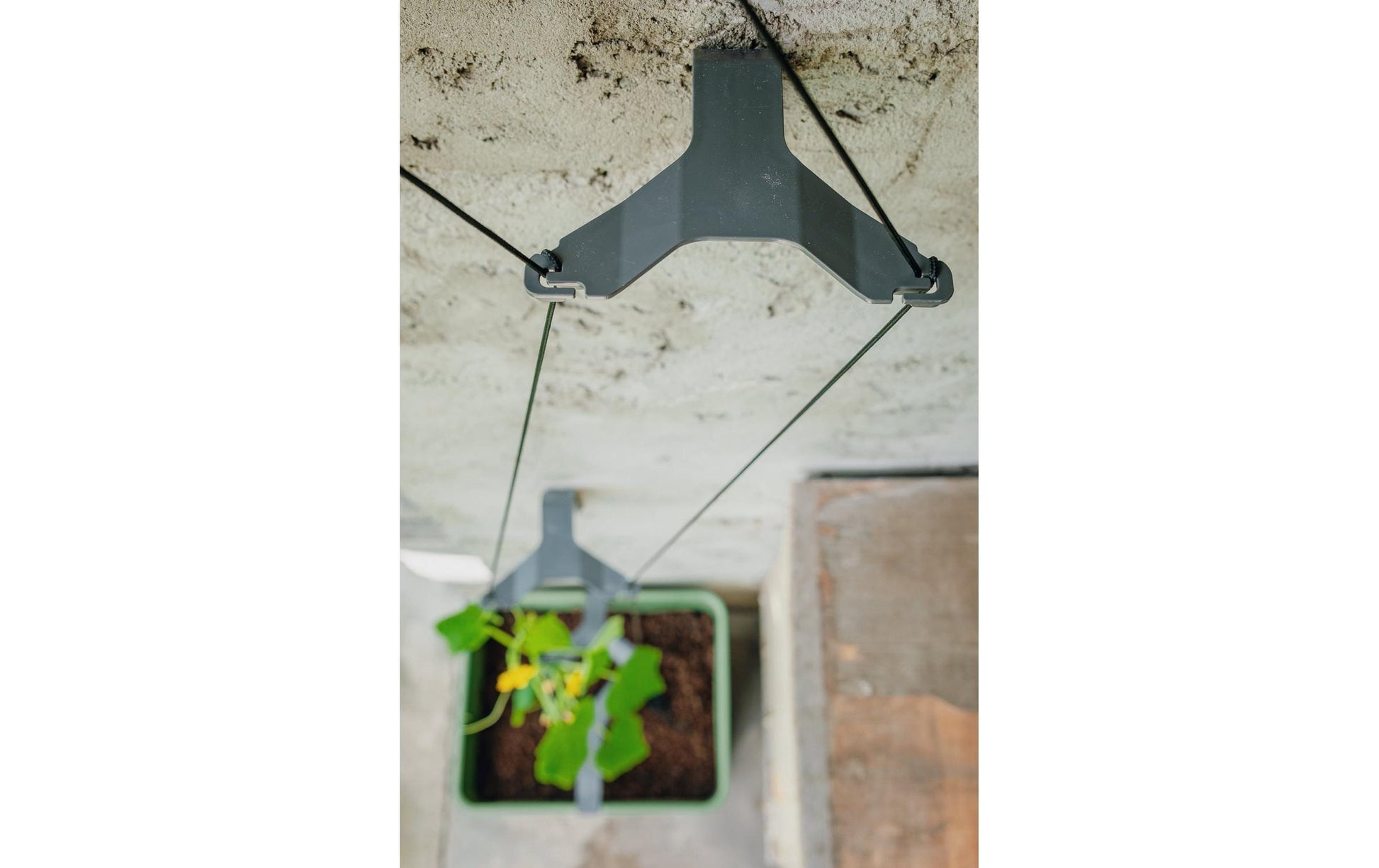 Gusta Garden Rechteckiges Pflanzgefäss 33,5×28,7×25,6 cm, grün, Polypropylen, wetterfest, für innen und aussen