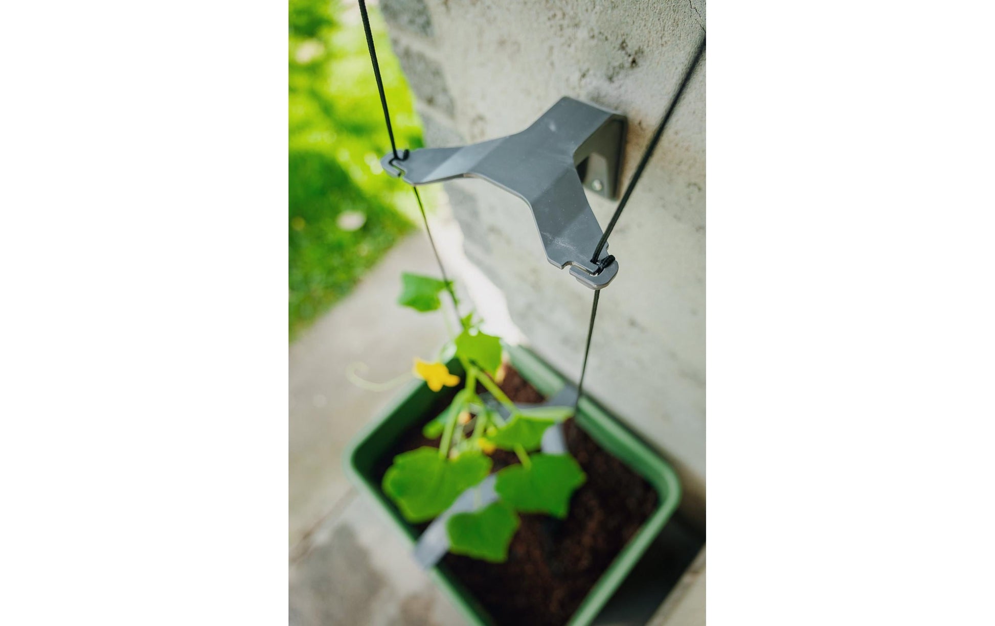 Gusta Garden Pflanzgefäss – 33,5 × 28,7 × 25,6 cm – Polypropylen, Grau