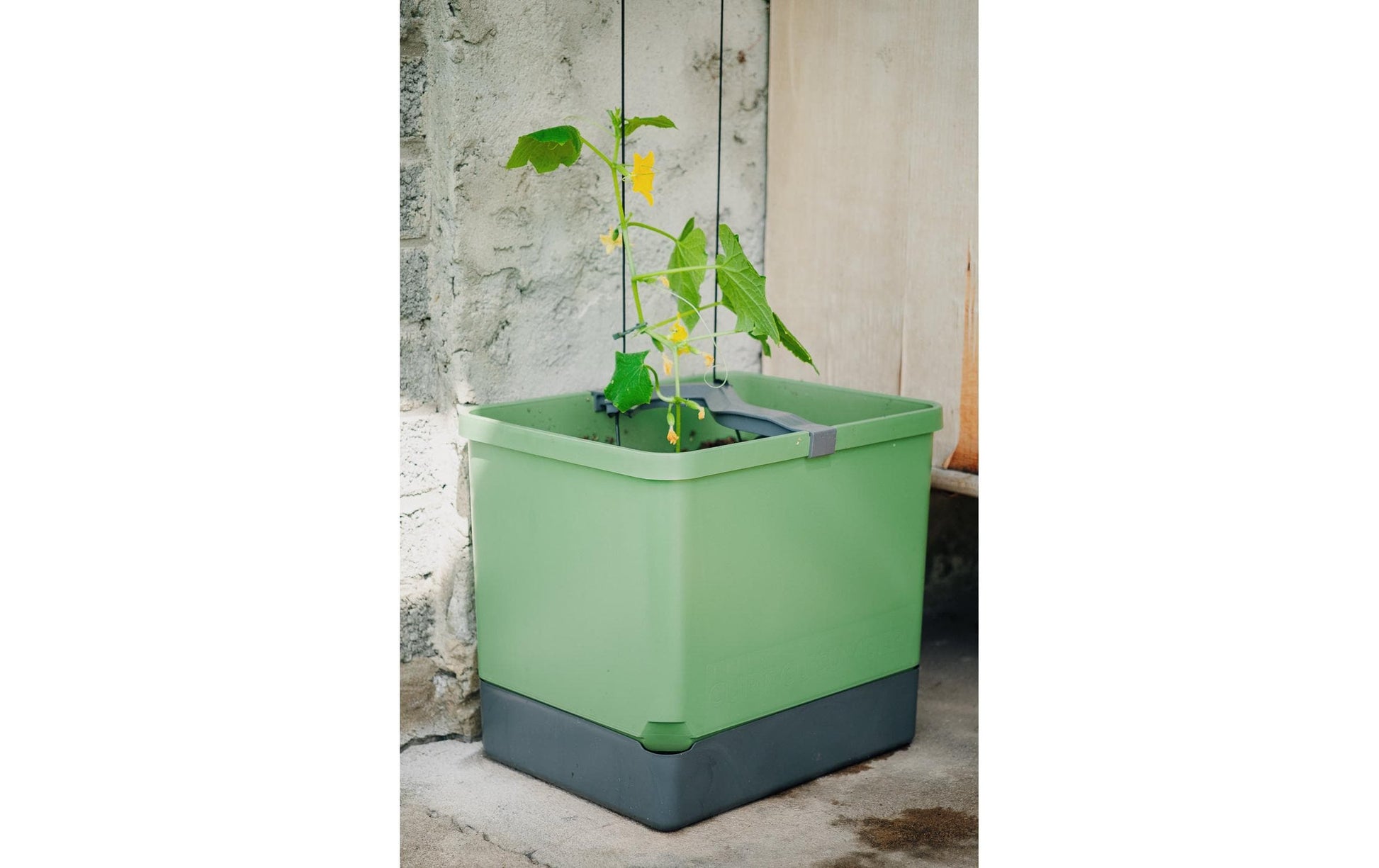 Gusta Garden Pflanzgefäss – 33,5 × 28,7 × 25,6 cm – Polypropylen, Grau